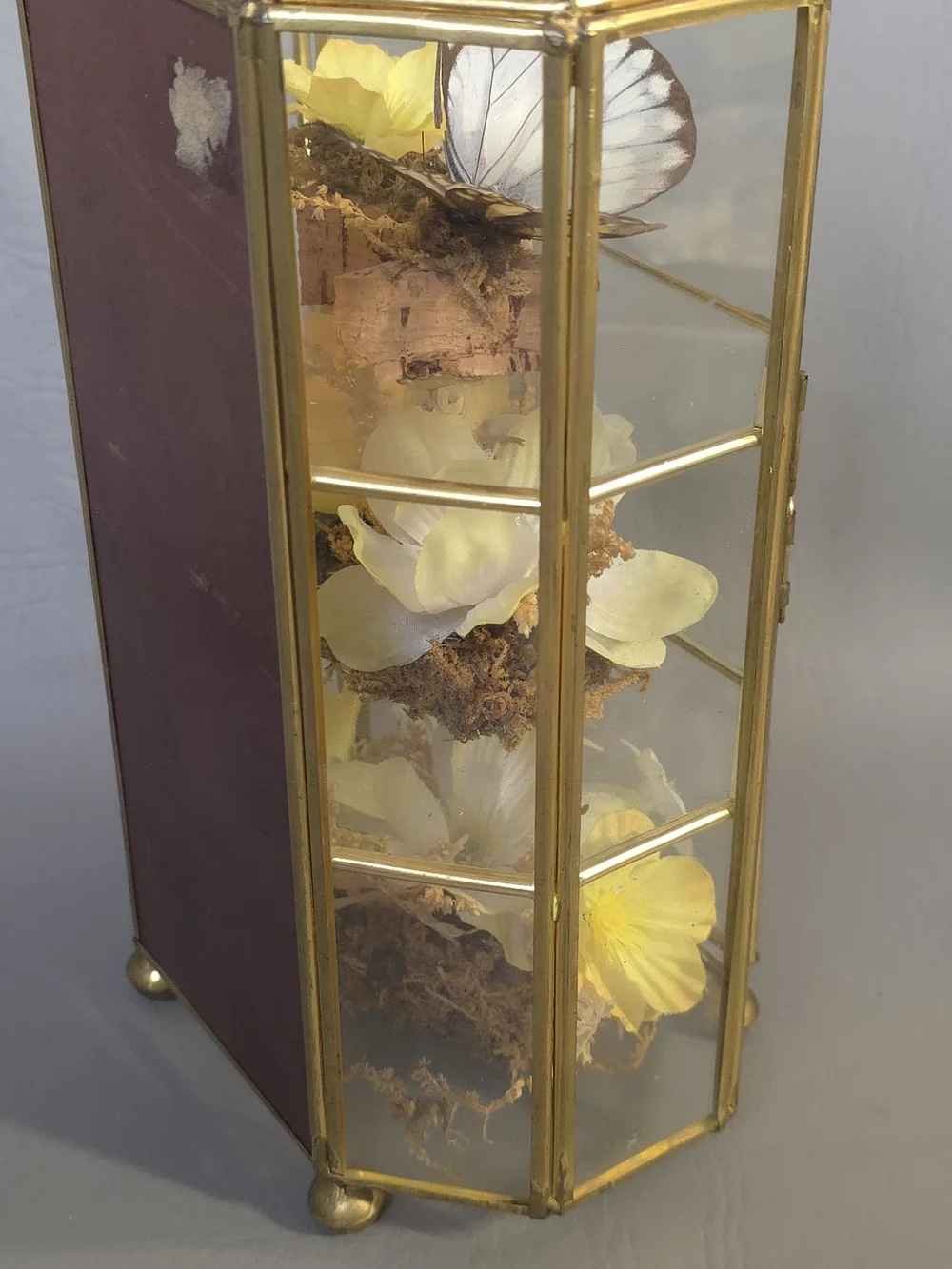 Mid Century Vintage Butterfly Taxidermy Floral In Brass And Glass Curio Cabinet